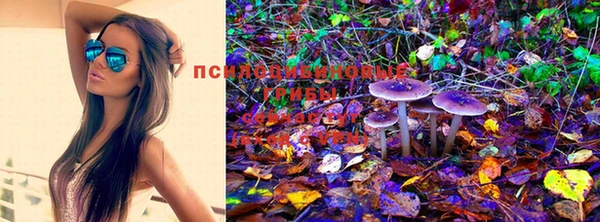 тгк Мегион