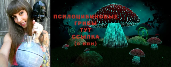 PSILOCYBIN Бородино