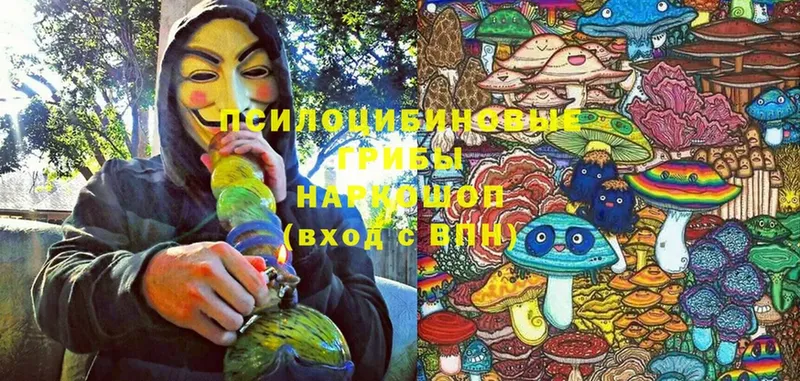 Псилоцибиновые грибы Cubensis  Новомичуринск 